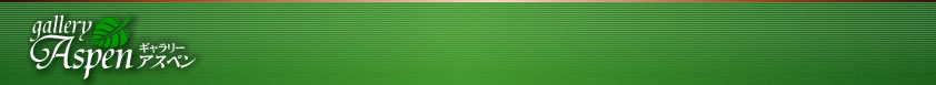 �A�X�y�� �M�������[(aspen)�͒��Ќ��A �_���E�Q�@�n���c�̌���A�ŉ�̓��{���㗝�X�ł��B
